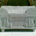 b_p-26244-abstr_img-23-sarco