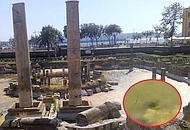 tempiorane_notizia--190x130