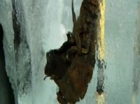 Ancient-Leather-Shoe