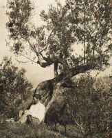 lo-scrittore-lawrence