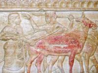 etruschi_a_cartagine