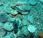 monete_pantelleria_01