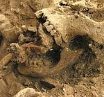 sepoltura_anomala_2--180x140