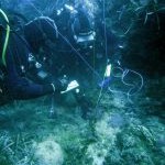 recupero_ancora_favignana_03