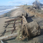 Saline-tarquinia-Cancello-e