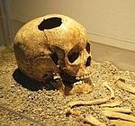 Il teschio del bambino di Fidene esposto a Roma