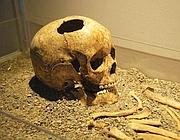 Il teschio del bambino di Fidene esposto a Roma