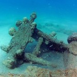 affusti in legno 1024