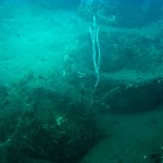 filicudi macine porto 01