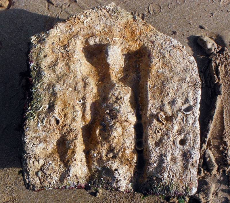stele paleocristiana