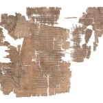 papiroartemidoro web