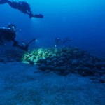 Relitto Panarea III 4 photo GUE