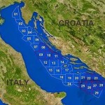 Trivelle in Adriatico