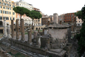 COD 192 Largo-argentina 3826