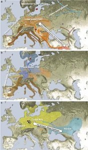 migrazioni 1