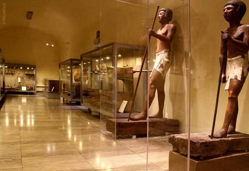 COD 156 Museo Egizio allestimento temporaneo 1