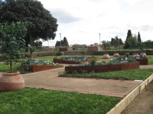 domus aurea