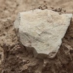 183229355-45ec335c-8d58-4b70-bad8-3e49b5d03e6c