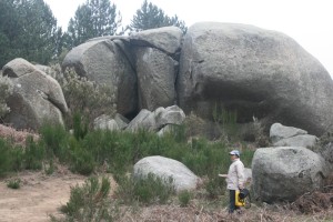 Davoli 1