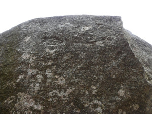 Davoli 2