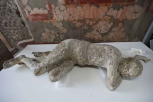 calchi pompei