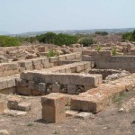 COD 145 mothia-535x300