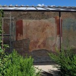 COD 177 pompei adone ferito