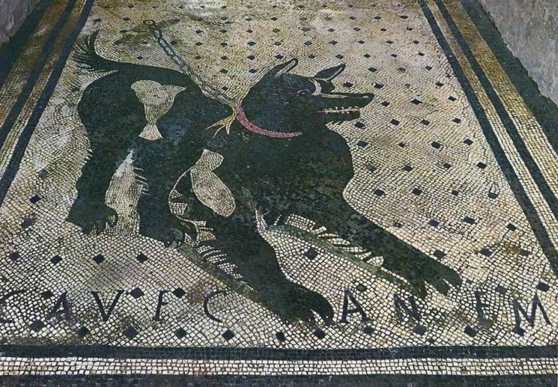 Cave canem mosaico