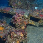 ancora capistello_photo GUE