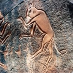 08-museo-castiglioni-pagine-pietra-graffiti-fauna-selvaggia