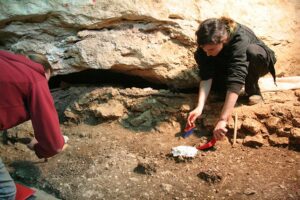 neandertal