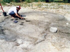 cambiamento climatico