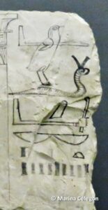 ostracon