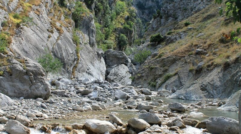 san lorenzo bellizzi