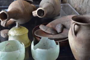 Amadio_2-Sezione-Cibo-e-nutrizione-300x2