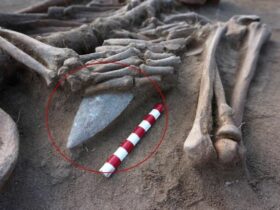 san giorgio bigarello