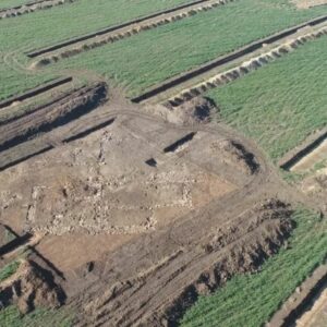 tarquinia
