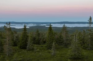 finlandia