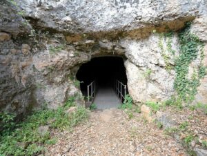 sovicille
